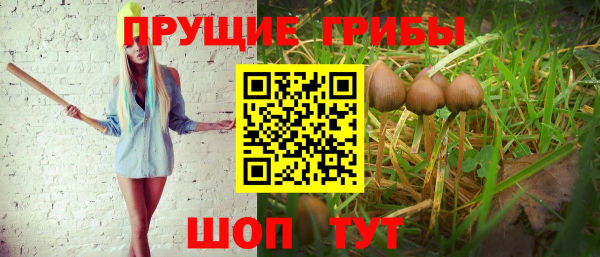 Галлюциногенные грибы мицелий Владивосток