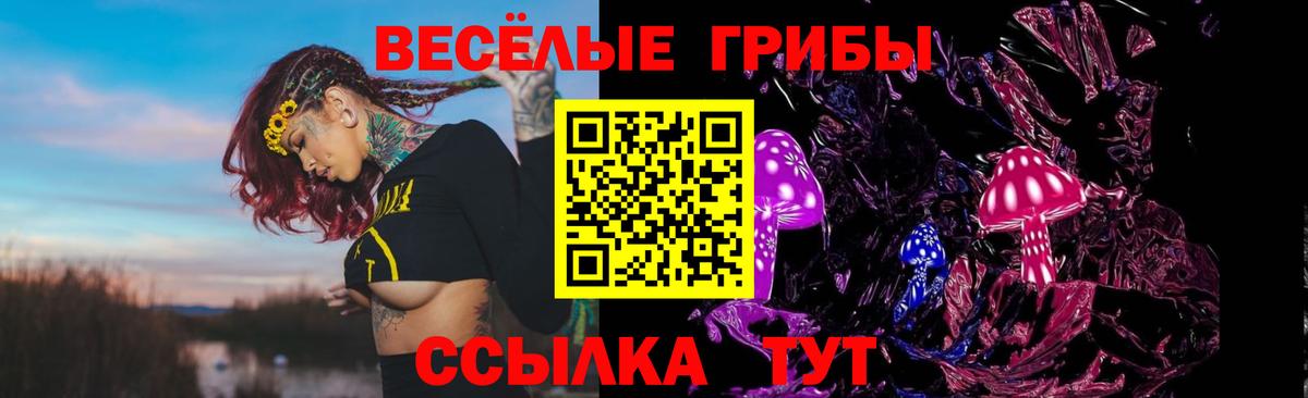 Галлюциногенные грибы мицелий  дарнет шоп  Галлюциногенные грибы Cubensis  Владивосток  Вход с VPN 
